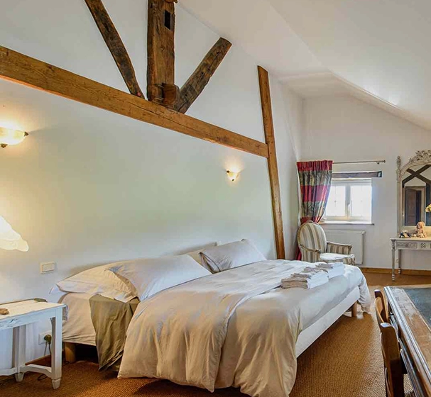 The edge of the forest